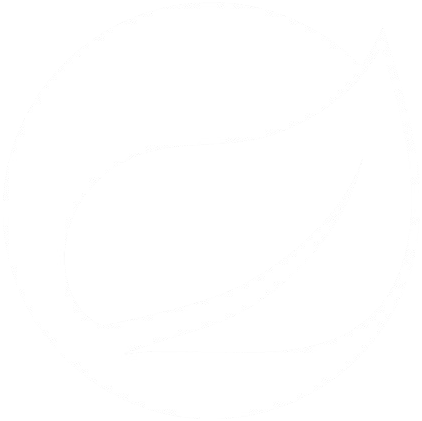 Springboot icon