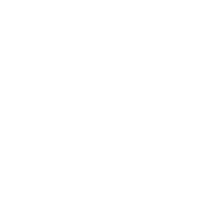 Wordpress icon